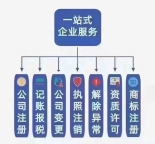从办理执照开始为企业全生命周期服务